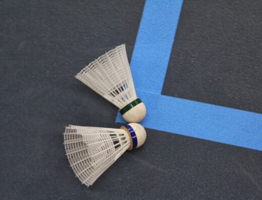 BC Flevoland (Badminton vereniging)