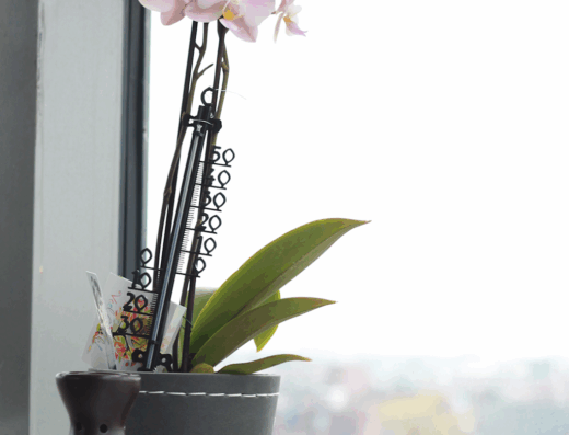 De Wellness Toren Assen