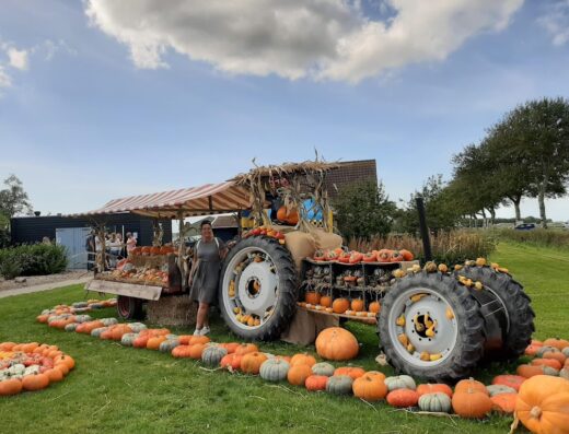 Escaperoom Warmenhuizen