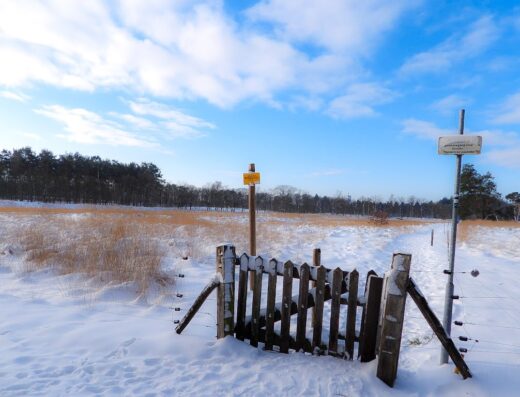 Joe Mann Natuurtheater