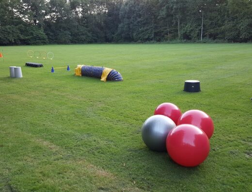 Kynologenclub Flevoland