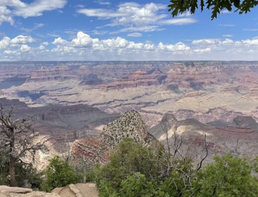 The Travel Club Erna Vermeer