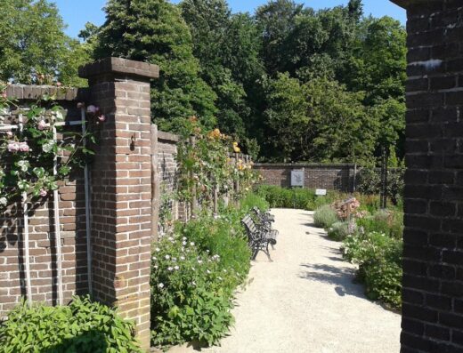 Tuin de Lage Oorsprong