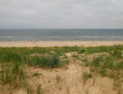 Zeetheater Bergen aan Zee 🎭